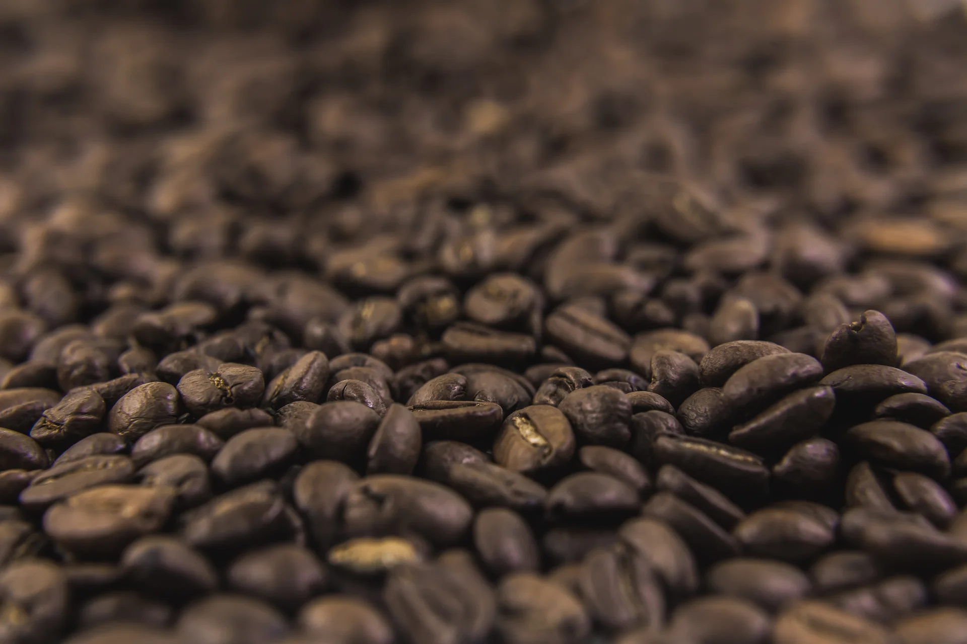Exzellenter Kaffeegenuss aus aller Welt